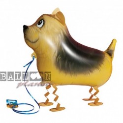 Pallone A.W. Terrier 60 cm