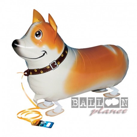 Pallone A.W. Corgi 60 cm