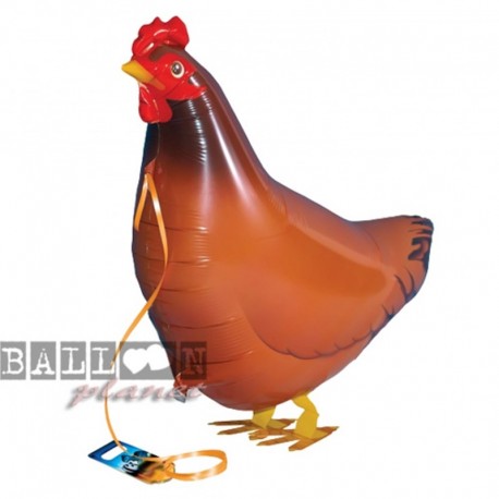 Pallone A.W. Gallina 55 cm