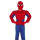 Costume Spider Boy