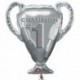 Pallone Coppa Campioni 70 cm