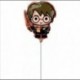 Pallone Harry Potter 25 cm