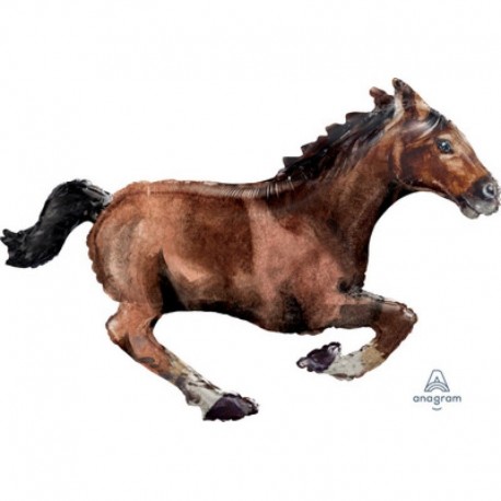 Pallone Cavallo 100x63 cm