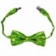 Papillon St Patrick Regolabile