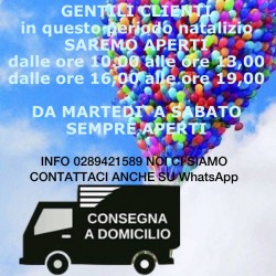 Consegna Domicilio Palloncini Elio