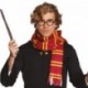 Set Harry Potter Occhiali e Sciarpa