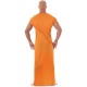 Costume Krishna