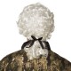Parrucca Uomo Baroque