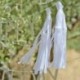 Festone Happy Birthday Nappe Tessuto Salvia 150 cm