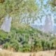 Festone Happy Birthday Nappe Tessuto Salvia 150 cm