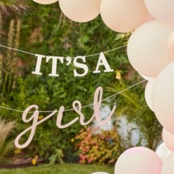 Festone Baby Shower Bambine 2 m