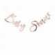Festone Baby Shower Rose Gold 2 m