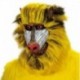 Maschera Lattice Babbuino