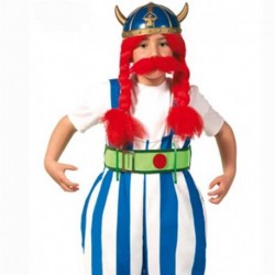 Costume Obelix