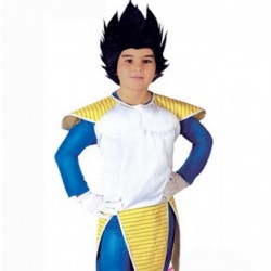 Costume Samurai