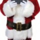 Cintura Claus