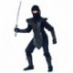 Costume Ninja Master