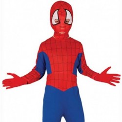 Costume Spider Boy