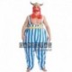 Costume Obelix