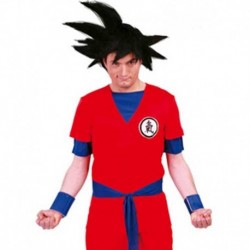 Costume Goku