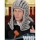 Parrucca Judge