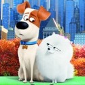 Party Pets